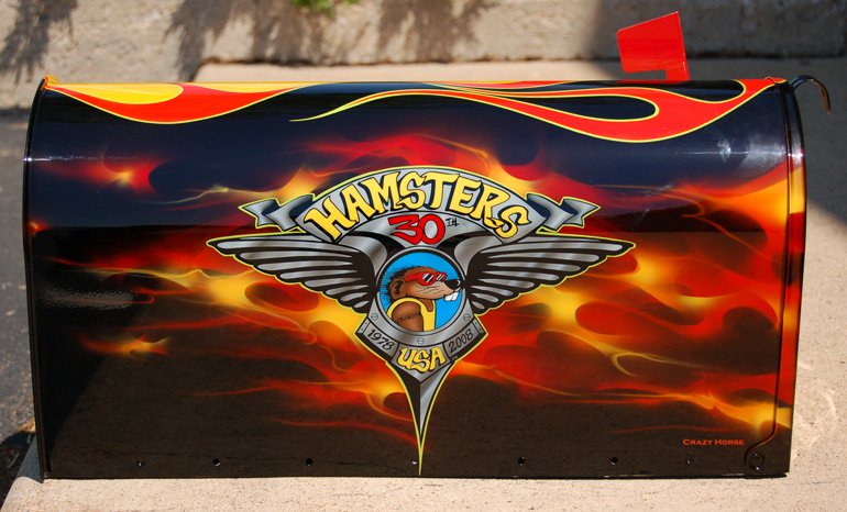 Mailbox painted for Charity Auction to benefit the Children's Hospital in South Dakota.