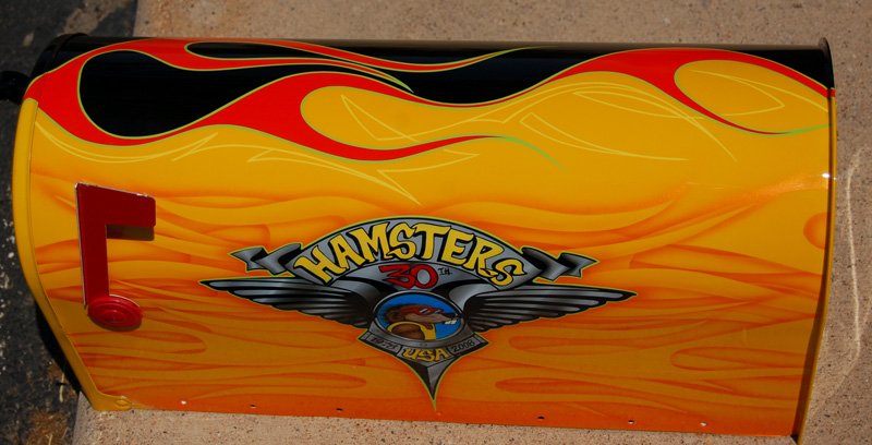 Mailbox painted for Charity Auction to benefit the Children's Hospital in South Dakota.